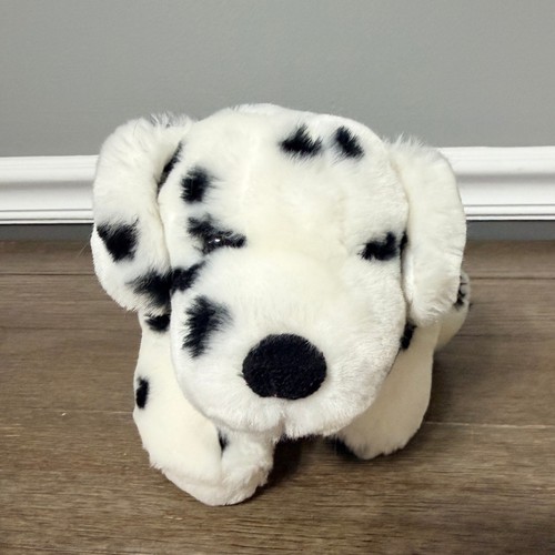 Commonwealth dalmatian puppy - commonwealth,
